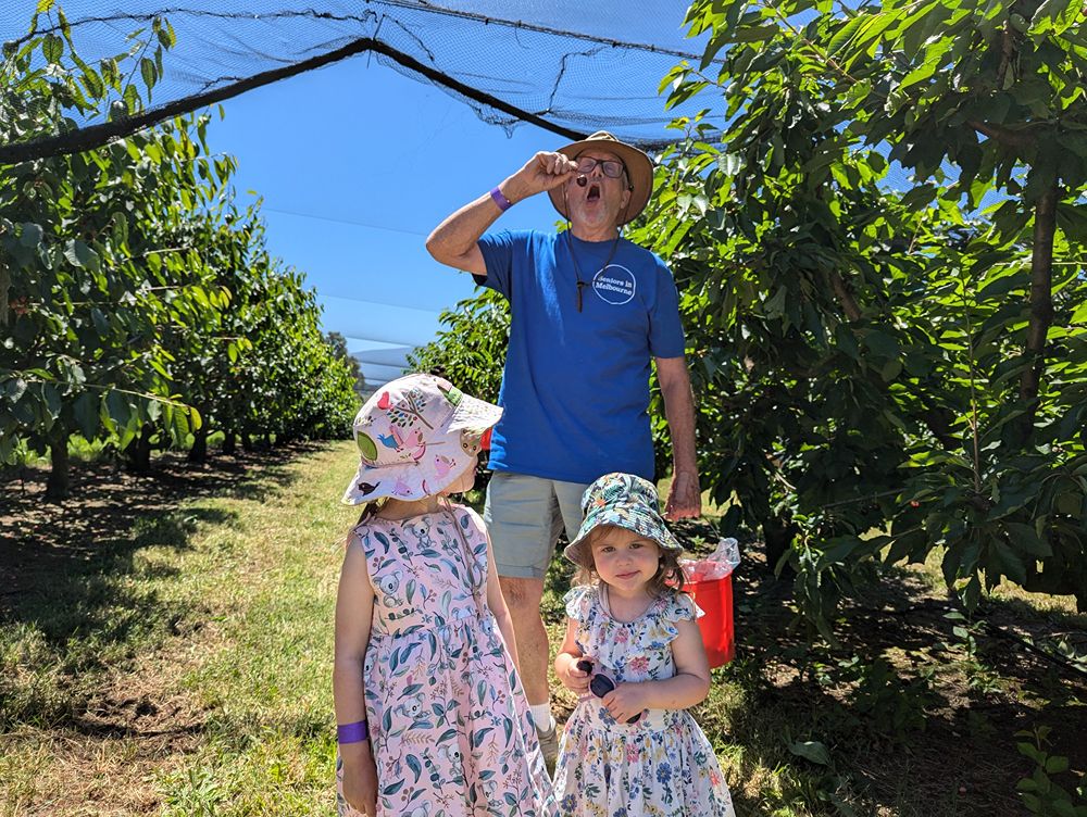 Cherry picking with the grandkids at CherryHill Orchards, Wandin East