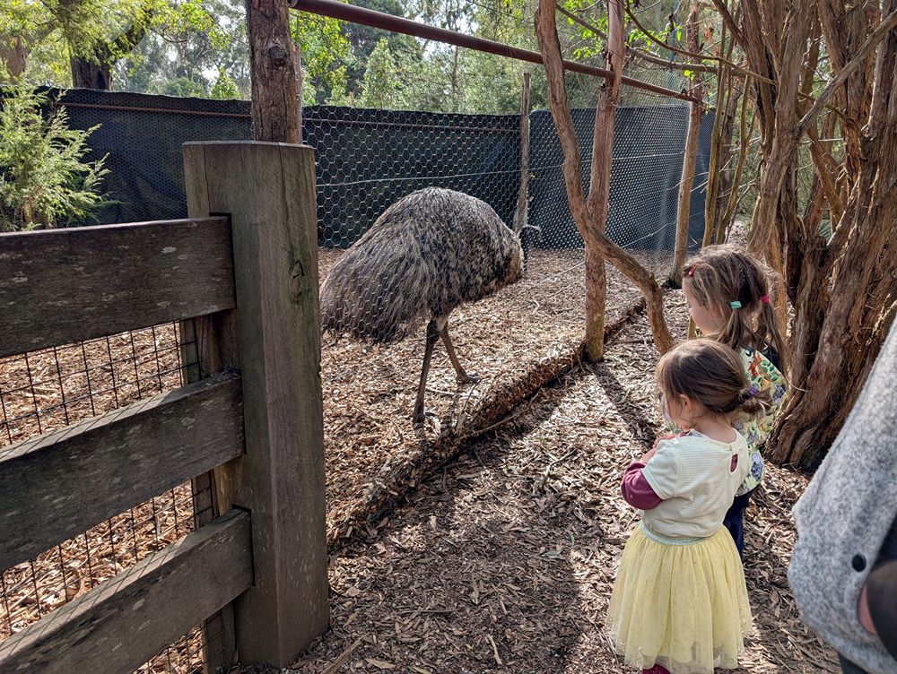 Healesville Sanctuary, images by Amy Gardner