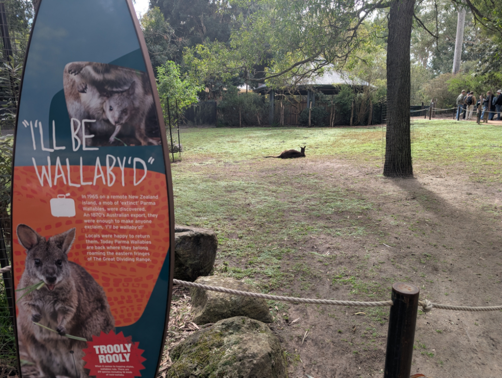 Healesville Sanctuary