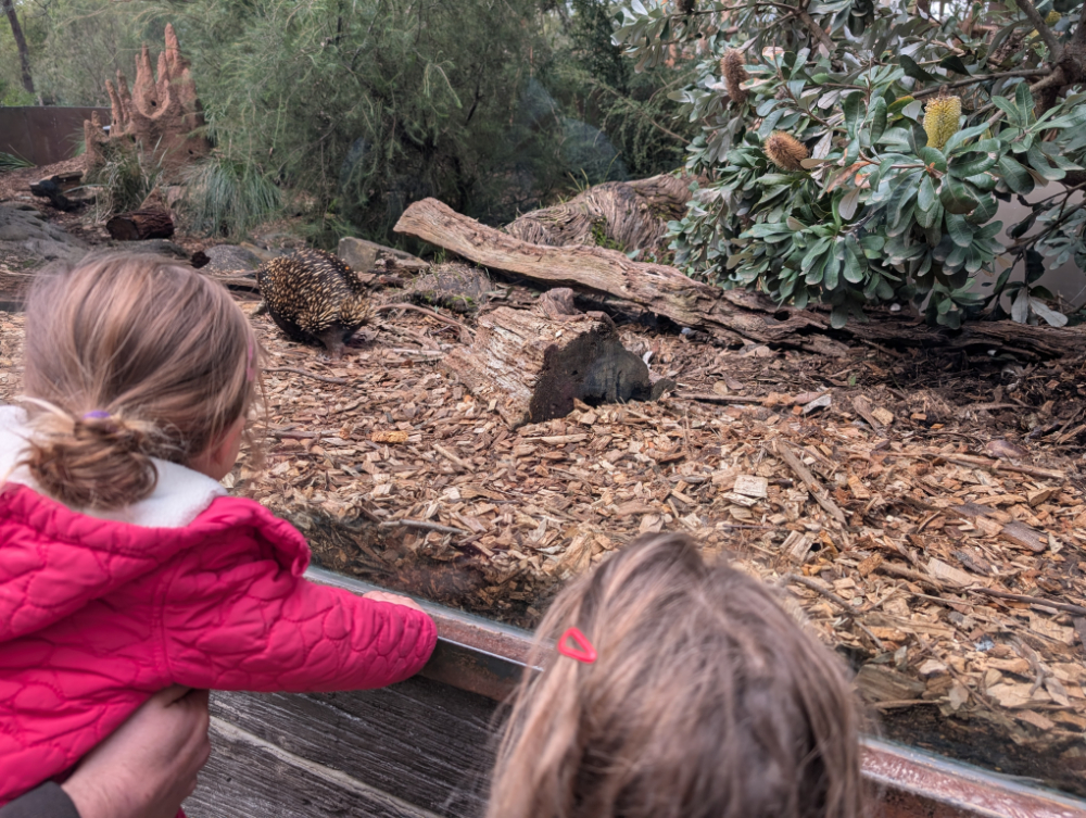 Healesville Sanctuary