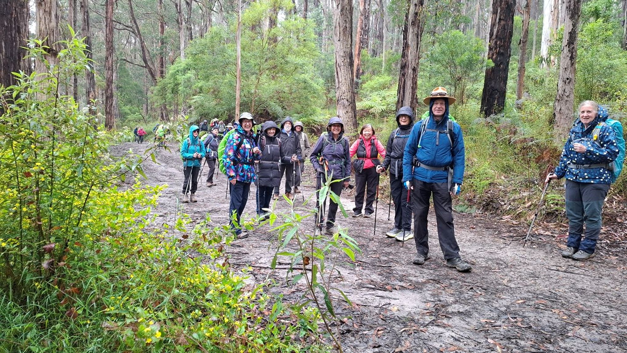 Melbourne walking clubs