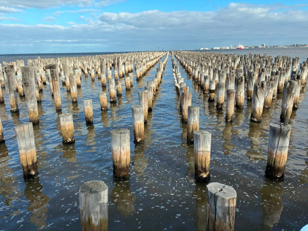 Melbourne walking clubs