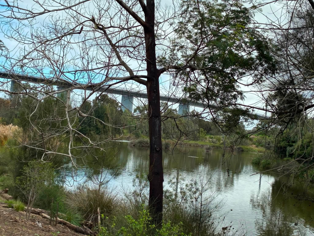 Melbourne walking clubs
