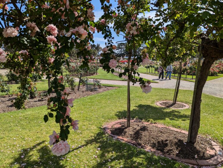 Melbourne Spring