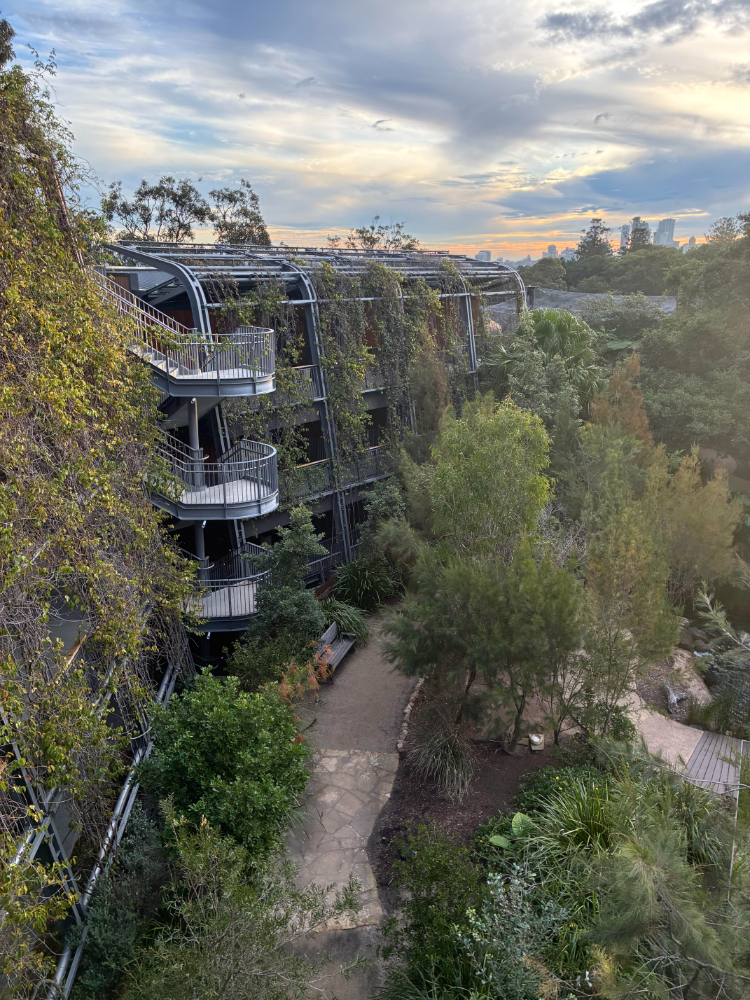 Accessible Sydney