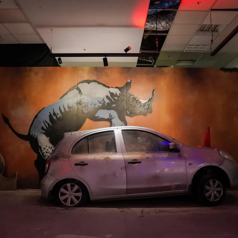 Banksy Limitless Melbourne