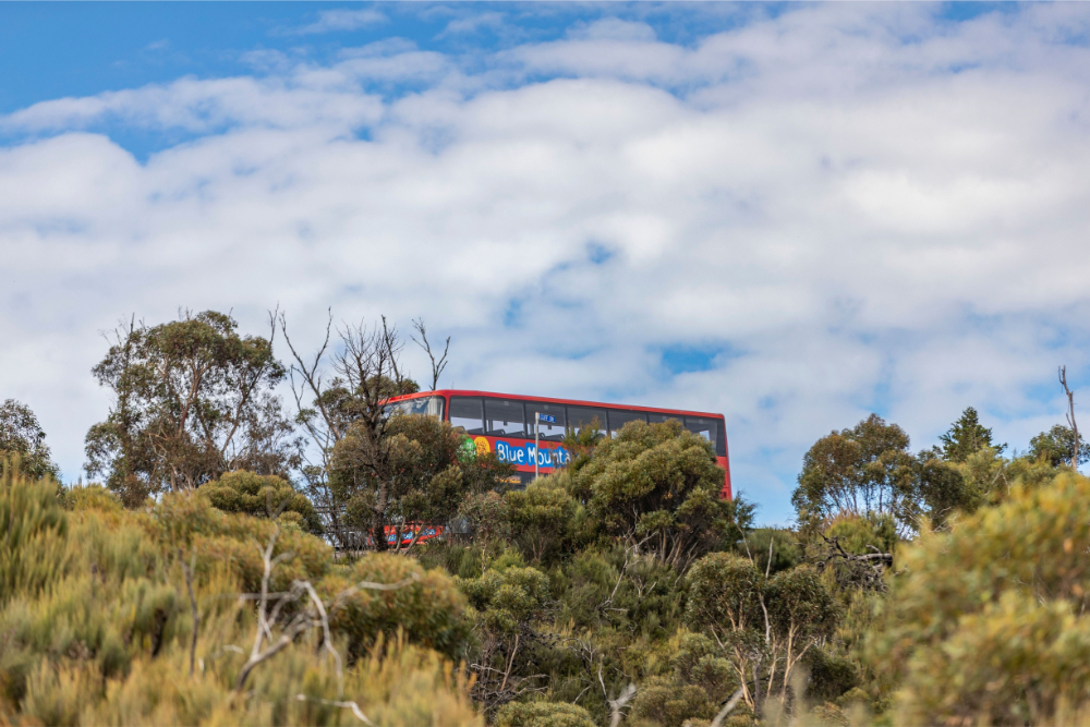 Blue Mountains by Train